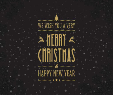 we wish you a very merry xmas happy new year